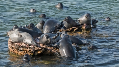 Фото нашего гида Андрея Таничева