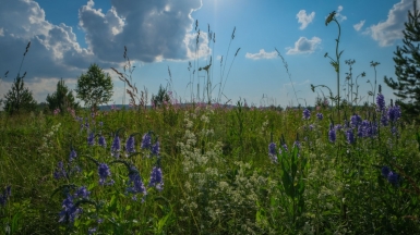 Фото нашей Странницы Марины Шумаковой