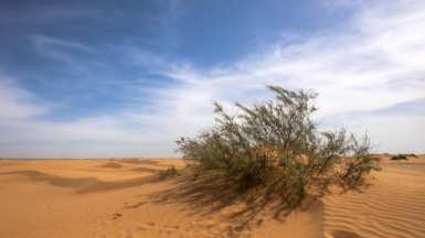 Фото нашего гида Михаила Верёвченко
