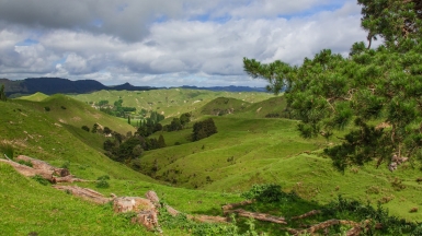 По дороге в Веллингтон. Фото нашей Странницы Татьяны Руновой