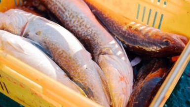 Фото из архива Клуба