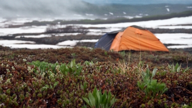 Фото: Степанов Илья