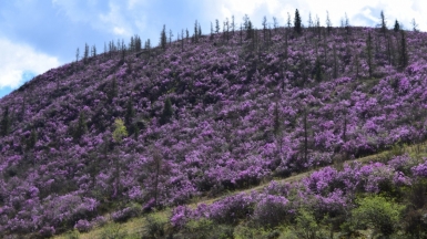 Фото нашего Странника Сергея Малыгина