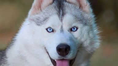 Фото из архива Клуба