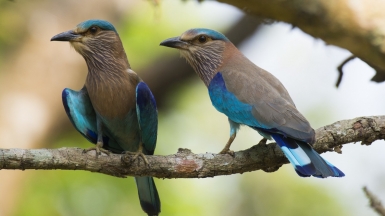 Фото: Sergey Yeliseev on VisualHunt