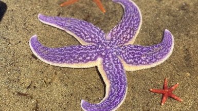 Фото наших туристов