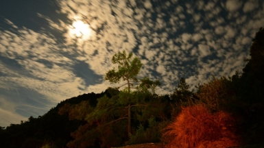 Фото нашего Странника Игоря Васкана