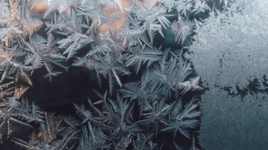 Фото: Kelly Sikkema, unsplash.com