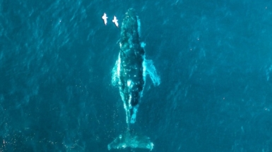 Фото Dmitry Osipenko для Unsplash.com