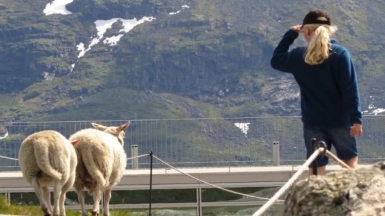 Фото нашего гида Лики Майстровой
