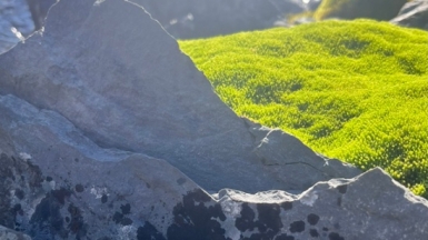 Фото нашего гида Марии Тергоевой