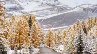 Фото: depositphotos.com