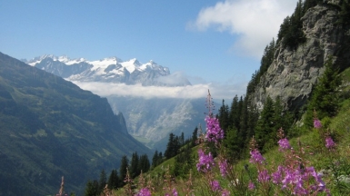 Автор: Composita. Источник: pixabay.com