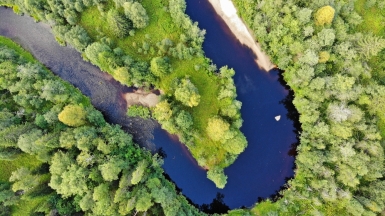 Фото из архива НП «Онежское Поморье»
