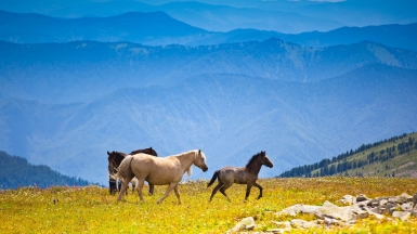 ru.depositphotos.com