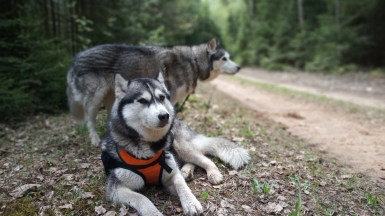 Фото нашего гида Ирины Пряничниковой