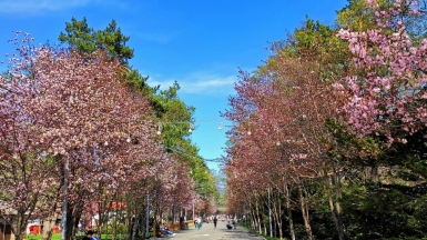 Фото из архива Клуба