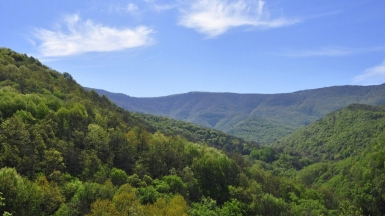 На пути к Ай-Петри, фото: Виктория Васильченко
