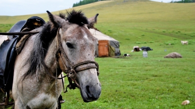 Фото: stepa on visualhunt