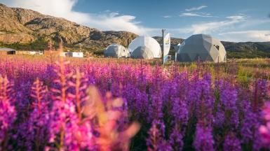 Фото «Китовый берег»