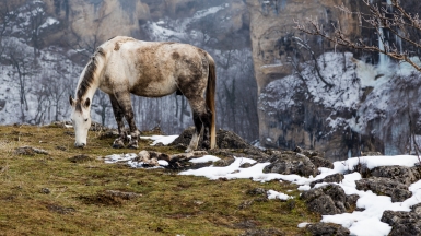 Фото нашей 
Странницы Евгении Пьяновой