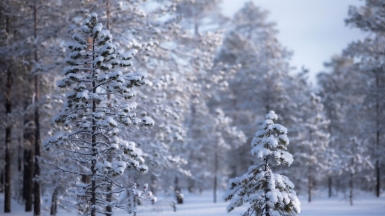 Фото нашего гида Михаила Верёвченко