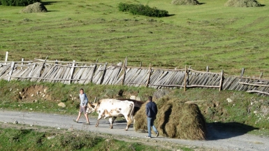 Заготовка сена. Фото нашего гида Ирины Пряничниковой.