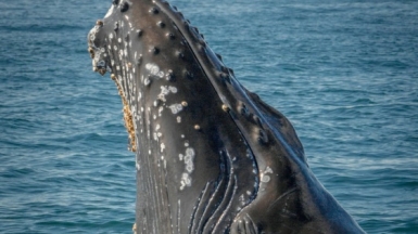 Фото Jorge Vasconez для unsplash.com