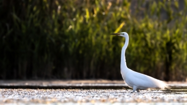 Фото нашего гида Михаила Верёвченко