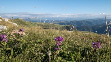 Фото: Anton Maksimov 5642.su, unsplash.com