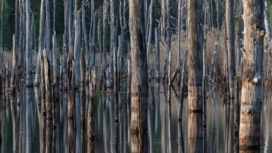 Фото нашего гида Михаила Верёвченко