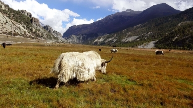 Фото нашего гида Лики Майстровой