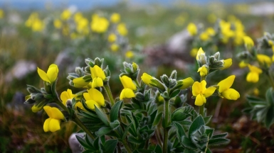 Фото наших Странников