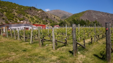 Фото нашей Странницы Татьяны Руновой