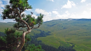 Фото нашего гида Елены Кузура