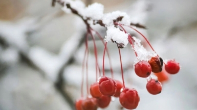 Фото Аnnie Gavin на Unsplash