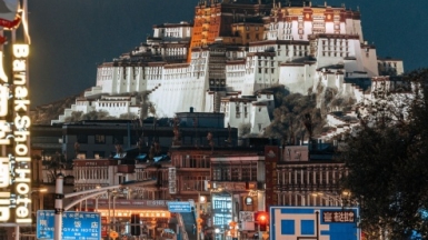 Фото: Catherine Scarlett on shutterstock