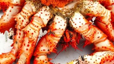 Фото нашей туристки Антонины Цесарской