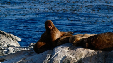 Фото: Peter Burdon, unsplash.com