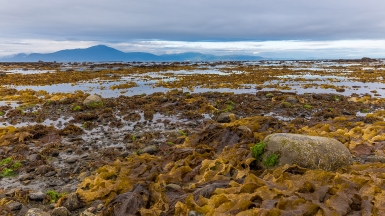 Фото: Кирилл Уютнов, wikimedia.org