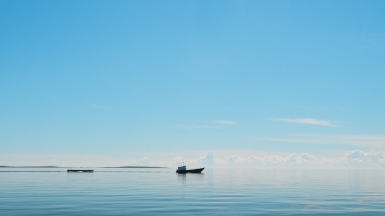 Фото: Anatoly Anikin on unsplash