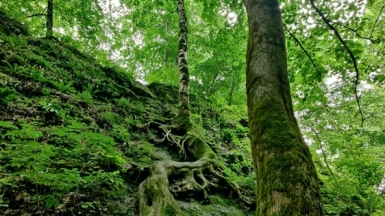 Фото нашей Странницы Аделии Зарриповой