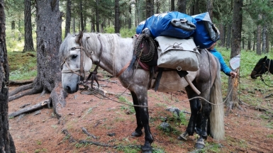Фото наших Странников