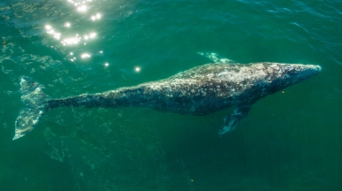 Фото из архива Клуба