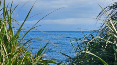 Фото нашей Странницы Анны Лазаренко