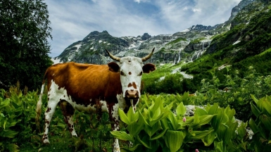 Фото наших Странников