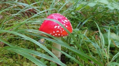 Фото нашей Странницы Надежды Ивановой