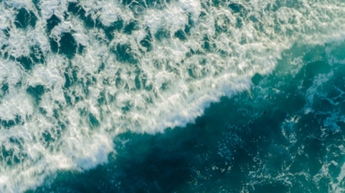 Фото из архива Клуба