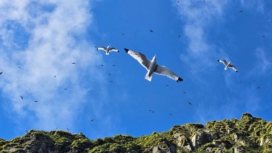 Фото нашей Странницы Анны Лазаренко