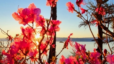 Фото из архива Клуба